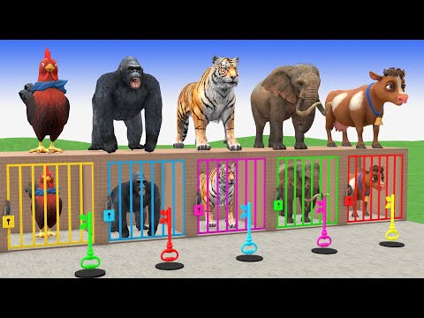 سورة البقرة كاملة بصوت الشيخ عبد الباسط عبد الصمد لحفظ وتحصين المنزل وجلب البركة  