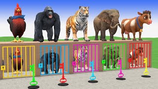 سورة البقرة كاملة بصوت الشيخ عبد الباسط عبد الصمد لحفظ وتحصين المنزل وجلب البركة Sourah Baqara