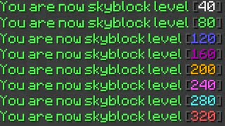 How Many Skyblock Levels Can You Get In 24 Hours?