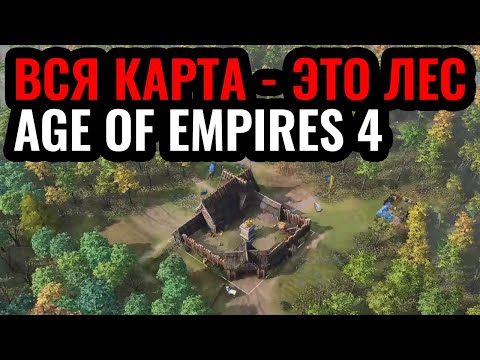 ВСЯ КАРТА - ЭТО ЛЕС в Age of Empires 4. Легендарная карта Forest Nothing в новой игре