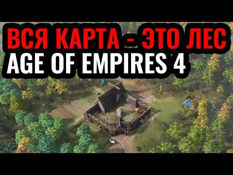 Видео: ВСЯ КАРТА - ЭТО ЛЕС в Age of Empires 4. Легендарная карта Forest Nothing в новой игре