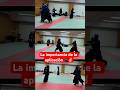 Mecanizar es importante pero aplicar es esencial #artesmarciales #kenjutsu #ninjutsu #samurai