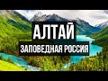 Алтай 2020: автопутешествие по России! Перевал Кату-Ярык | Заповедная Россия.