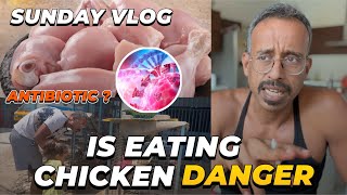 Is Eating Chicken Is Safe ? Explained In Tamil 