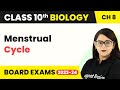 Menstrual Cycle | How Do Organisms Reproduce? | Class 10 Biology