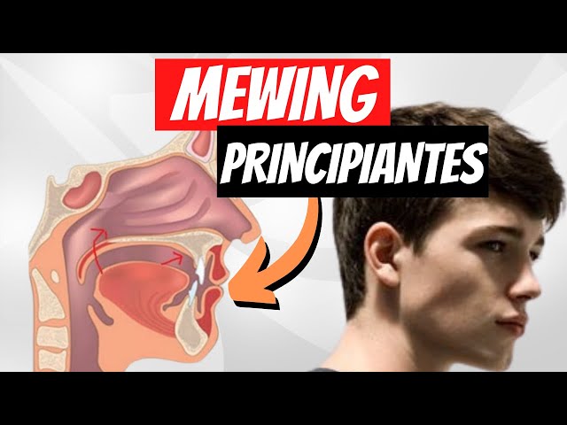 COMO HACER MEWING - Guía Para PRINCIPIANTES 