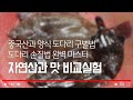 *봄도다리의 진실ㅣ수산시장 호갱탈출법* 도다리 수입산 양식구별법ㅣ완벽한 손질법 그리고 눈감고 맛비교. How to make sashimi with Flounder. [수아아빠TV]