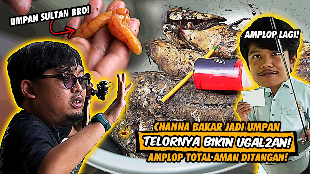 MANCINGNYA TELAT! TAPI TETEP BISA JUARA PAKE UMPAN CHANA BAKAR DI MEGA FISHING 64 SENTUL!