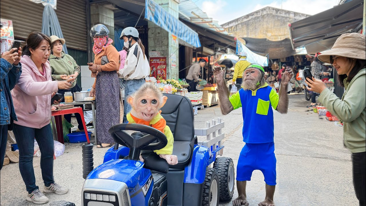 CUTIS & Buem Show Up With Cool New “Supercar” , Everyone’s Surprised Reactions