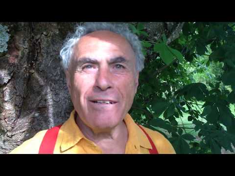 David Gilmore –