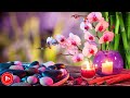 Calm Music 24/7, Stress Relief Music, Study Music, Sleep Music, Relaxing Music | DM Music