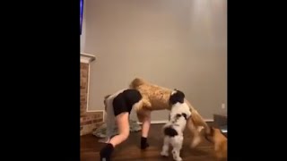 Girl Falls Under Dog Attack When She Attempts To Do A Dance Video
