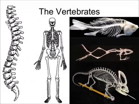 What it means