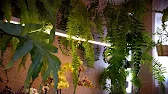 АНАПА Натка_солнце