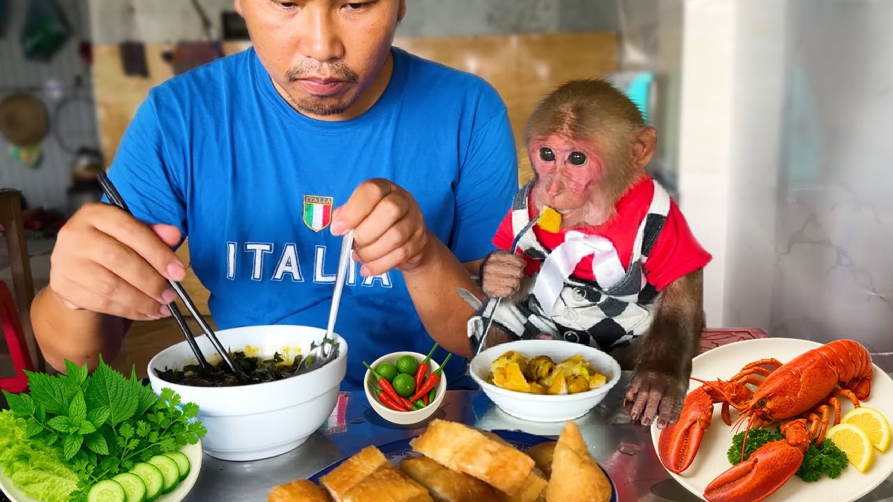 So Cozy! Bibi Enjoys Pho & Nut Milk from Dad, Then Buys Batteries to Turn on the TV and Relax