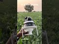 4G SOLAR LINKAGE CAMERA3MP HD SECUREYE