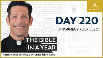Day 220: Prophecy Fulfilled — The Bible in a Year (with Fr. Mike Schmitz)