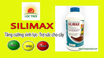 SILIMAX Phân bón lá KHOÁNG HỮU CƠ chính hãng Lộc Trời I Nong Duoc Xanh tv