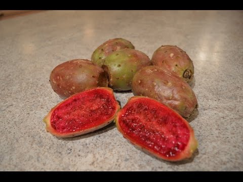 How to Prepare & Eat Prickly Pears - aka Opuntia: Cooking with Kimberly