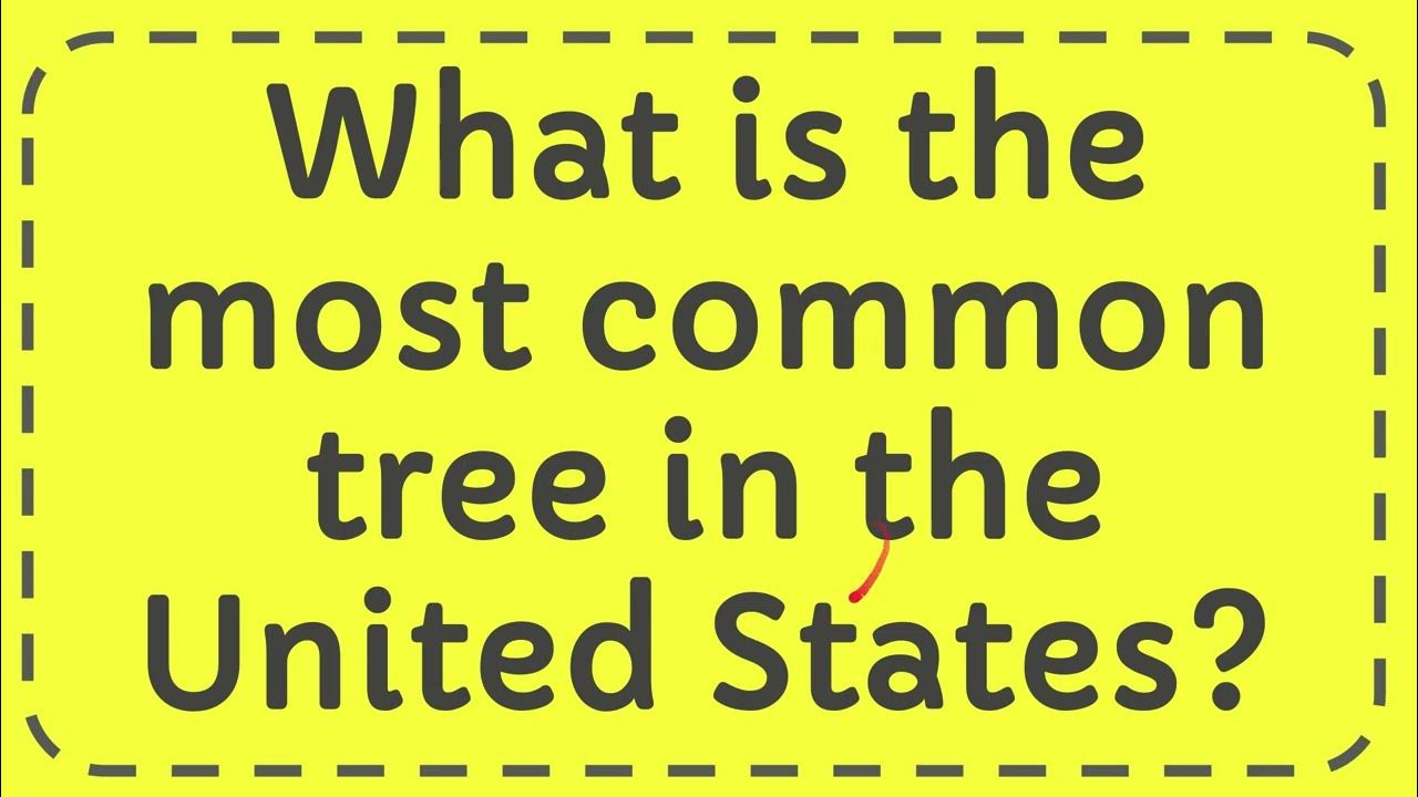 What is the most common tree in the United States? YouTube