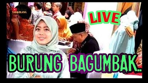 Live.  BURUNG BAGUMBAK || LAGU DAERAH JAMBI || EFENDI TN & ERAWATI ~ DWI MUSIC, Arr Rudy.