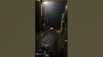 قران كريم 🤍