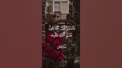 ياأيها الذين آمنوا استجيبوا لله وللرسول إذا دعاكم لما يحييكم #تلاوة #الشيخ #ماجد_الزامل #تلاوة_خاشعة