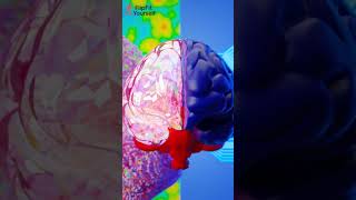 Why Late-Night Decisions Ruin Your Eating Without You Noticing #shorts #youtubeshorts #shortfeed