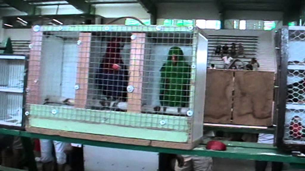 velka burza Prerov 2014