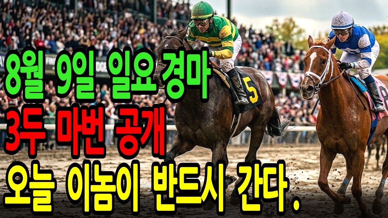 8월 9일 일요일 경마~ "이 나이 먹고도 이런 촉은 처음입니다... 오늘 이 말" ㅣ승전경마 전문가의 이변 포착 l 경마 l 경마예상 l 코리아레이스 l 검빛경마 ㅣ경마정보