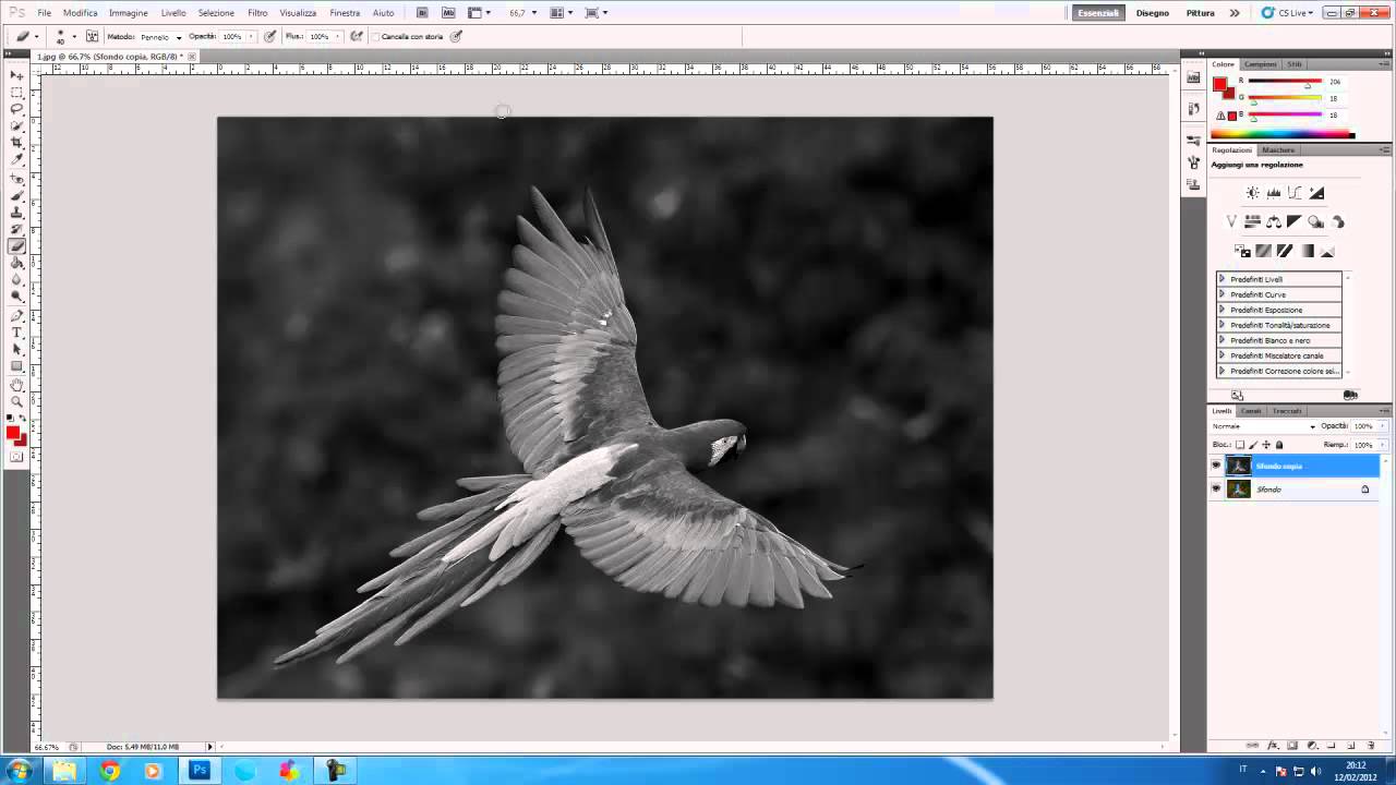 Foto In Bianco E Nero Con Particolari Colorati Photoshop
