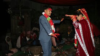 बाग्लुङ बजारमा बाघको सालिक|| Pokharidhara Naumati panchebaja Baglung bajarma Baghko salika hit song