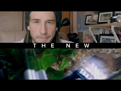 The New. . . - The New. . .