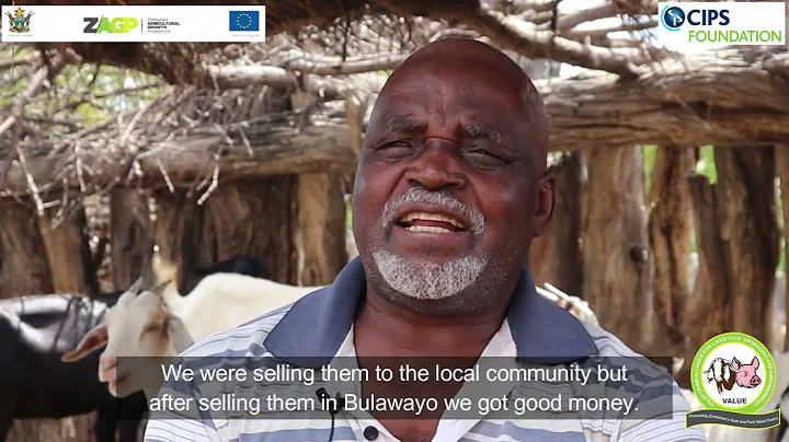 Market responsive goat production, the story of Jonathan Maphosa