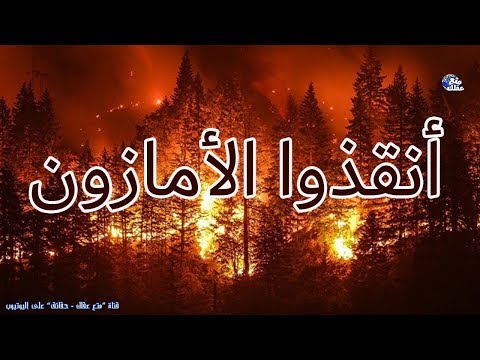 15 حقيقة عن غابات الامازون | لماذا هى بهذه الاهمية ؟ -  رئة الارض تحترق !!