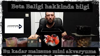 Beta Balığı Akvaryumu Kurulumu Beta Hakında Bilgi #akvaryum #beta #halfmoon #nanotank #çocuklariçin