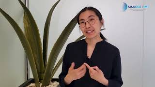 SISAQOL IMI GA 2022 | Scientific Work Packages