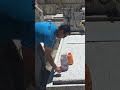 Elimina el HONGO de las TUMBAS