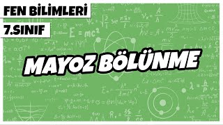 7 Sınıf Fen Bilimleri - Mayoz Bölünme 2022