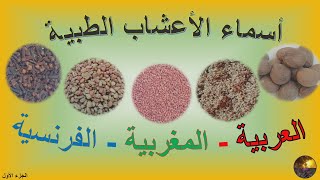 أسماء الأعشاب والنباتات الطبية بالصور:  العربية ،المغربية ، الفرنسية .Noms des herbes et plantes .