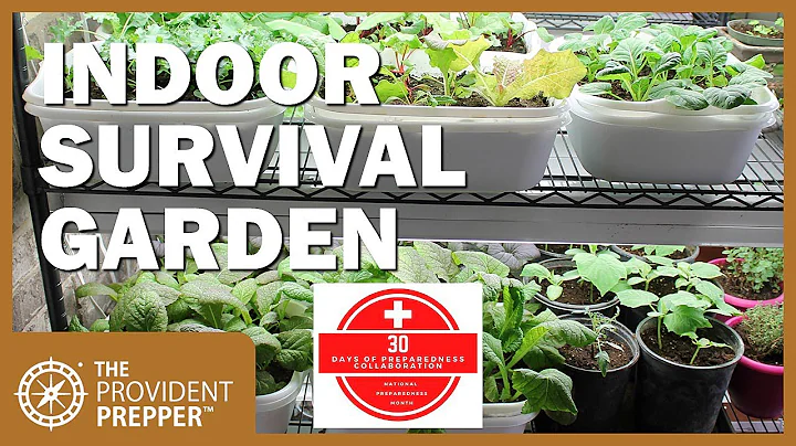 How to Grow an Indoor Survival Garden - DayDayNews