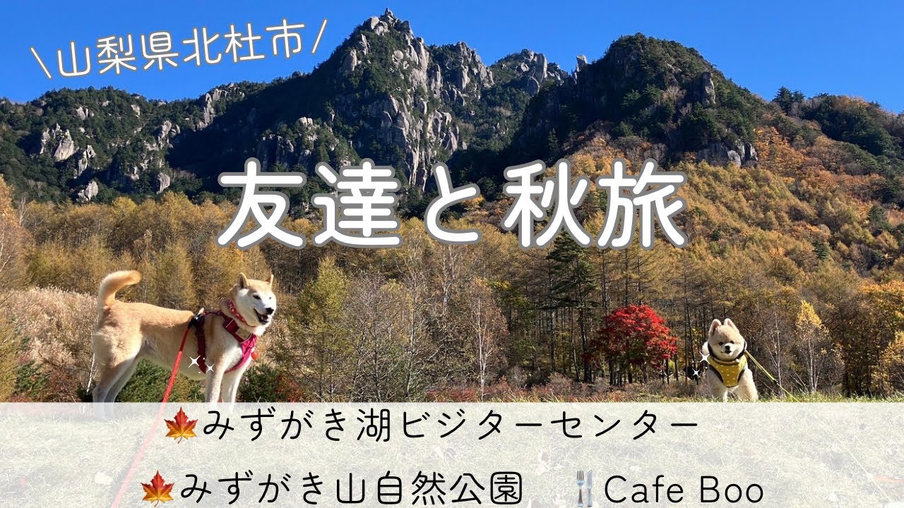 山梨県北杜市】みずがき湖ビジターセンター→みずがき山自然公園→Cafe