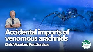 Accidental imports of venomous arachnids