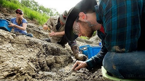Summer dig at the Pipestone Creek Bonebed