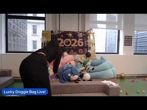 Lucky Doggie Bag Live!