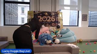 Lucky Doggie Bag Live!