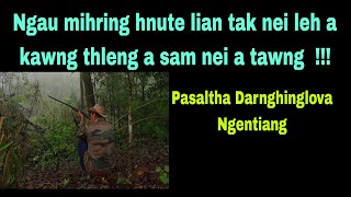 Ngau hnute lian leh sam sei a tawng a kap ngam thlawt lo:Pasaltha Darnghinglova Part OneNgentiang.