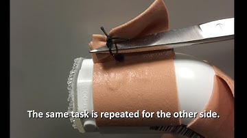 Vaginal Hysterectomy Surgical Skills Curriculum: Task Video