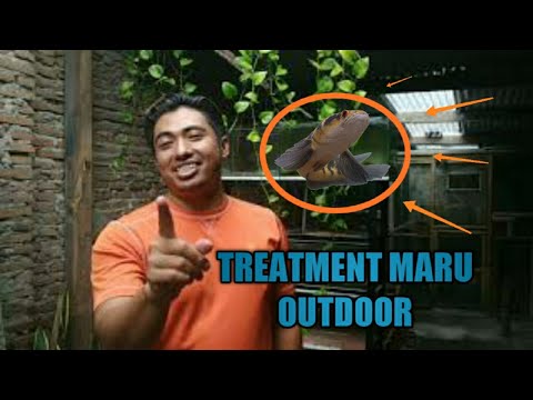 Video: Outdoor Treatment