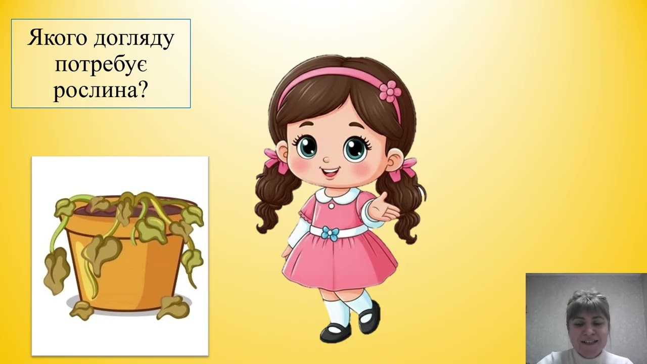 Наші друзі   квіти на підвіконні